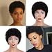 VIOLET Afro Kinky Curly Short Human Hair wigs for Black Women Brazilian Virgin Hair Capless Cap Wigs Natural Black Color