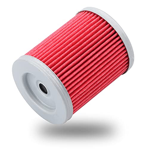 Vichoice Hf132 Oil Filter Compatible With Arctic Cat 250 300 Kawasaki Kh125 Klx125 Yamaha Cp250 Yp400 Yp400R Suzuki Lt160 Lt230 Ltz250 Lt300 Dr125 Dr200(Pack Of 5) #TOP1