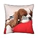 Housse De Coussin Cavalier Roi Charles Spaniel Taie Coussin Carré Taie d'oreiller Rétro Taie D Oreiller pour Canapé, Chaise, Maison, 45X45Cm