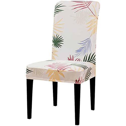 Chaises usées masquées par 6 housses de protection imprimées blanches - 2