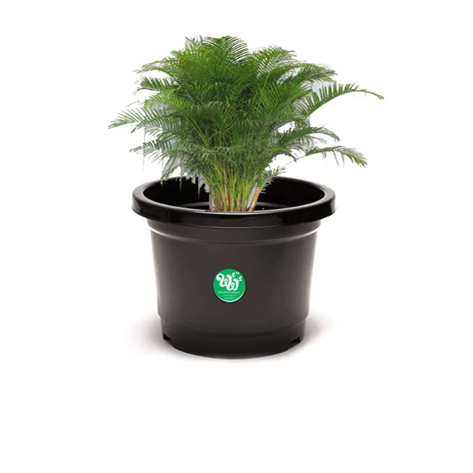 WinWoodsAgri 10 inch Black Color 5 Piece/Planter/Plant Container/gamla/Pot/Flowerpot/Big Size Tree Planter (Pack of 05 Piece Planter only) (B0CCSNPH7T) Amazon Price History, Amazon Price Tracker