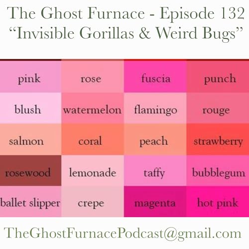 Invisible Gorillas & Weird Bugs Podcast Por  arte de portada