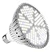 100W Led Grow Light Bulb, Plant Lights Full Spectrum for Indoor Plants Hydroponics, Led Plants Bulbs for Flowers Tobacco Garden Greenhouse and Organic Soil (E26 120LEDs) …