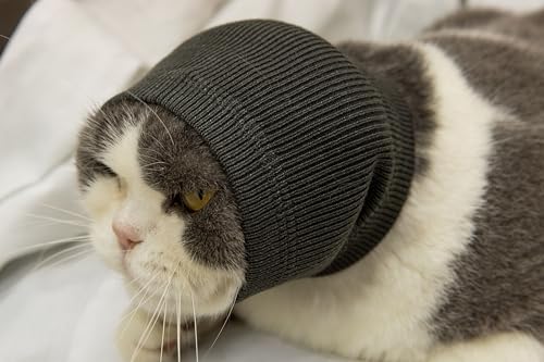 Image of Cat Head Cover Hematoma Lightweight Snood Covers Ear Wrap for Cats Wine+Grey-S