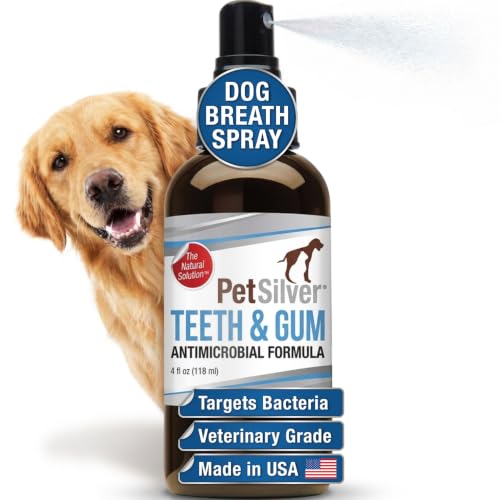 What are the Best  dog tartar removal -Buying Guide