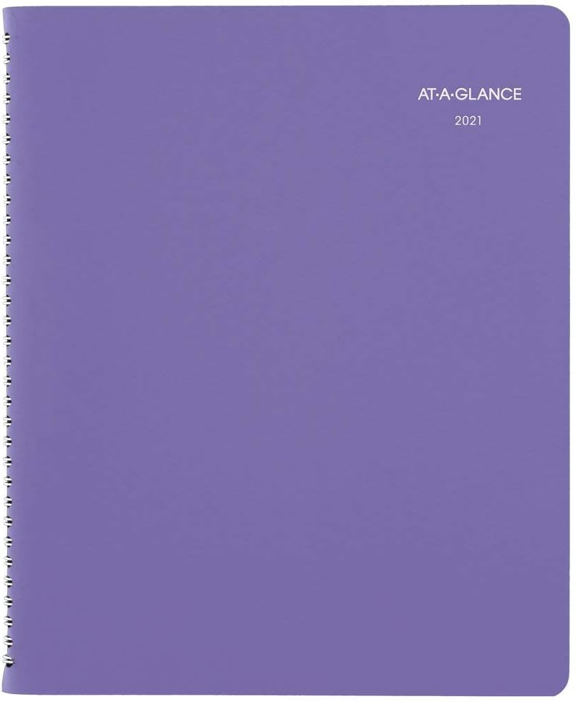 2021 Weekly & Monthly Appointment Book & Planner by AT-A-GLANCE, 8-1/2" x 11", Large, Beautiful Day, Lavender (938P-905-21)