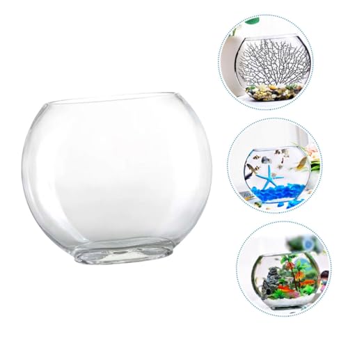 Aquarium de bureau pour poisson rouge : bocal transparent compact - 5
