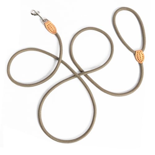 LeileiPaws Tauleine Hund – Nylon Hundeleine für kleine, mittelgroße & große Hunde – hundeleine leicht mit Schlaufe für kleinere Hunde, robuste Hundeleine große Hunde(Khaki, 3m x 0.8cm)