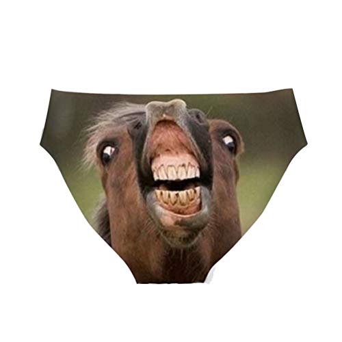 Dellukee Women's Sexy Underwear Briefs Funny Horse Print Breathable Hipster Panty Comfortable Bikini Panty For Bachelorette Party Gag Gift #TOP1