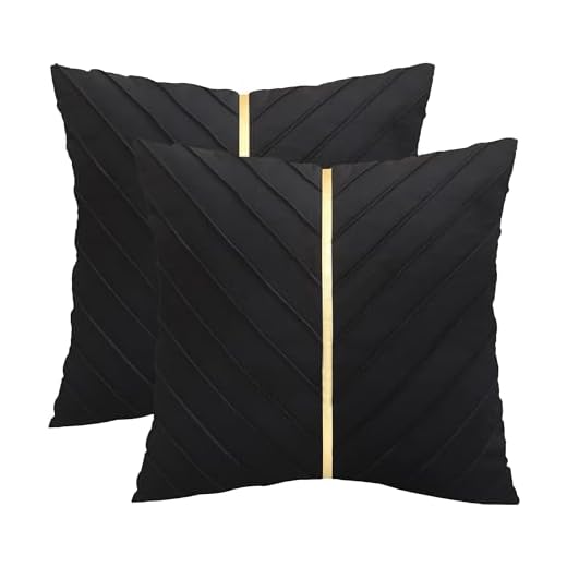 Tosleo Velvet Throw Pillow Covers 18x18 Pack of 2,Decorative Couch Luxury Modern Pillow Covers for Living Room Bedroom Sofa Cushion Bed with Gold Leather(Black,18x18,Set of 2)