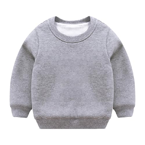 Boys and Toddlers' Crewneck Sweatshirt Thick Fleece Warm Teen Girl Clothes Casual Basic Solid Color Pullover Fall Winter Tops