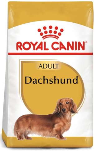 Royal Canin Dachshund Adult 28-7500 GR
