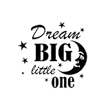 JIFENLI Adesivi per Auto 13.9CM * 13.1CM Vinile Decalcomania Auto Adesivi DREAM BIG LITTLE ONE Nero/Argento
