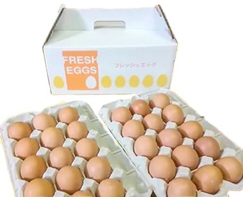自然飼い 純国産鶏「もみじ」卵 40個入 (Mサイズ) [04209-0235]