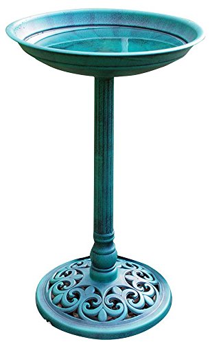 Kingfisher tradizionali uccello bagno Buywitheeze