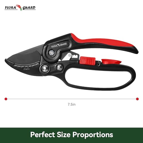FLORA GUARD 8" Professional Ratchet Anvil Secateurs, Ratcheting Mechanism, Reinforced Design Handle, Gardening Secateurs, Anvil Garden Pruner 2 FLORA GUARD 8" Professional Ratchet Anvil Secateurs, Ratcheting Mechanism, Reinforced Design Handle, Gardening Secateurs, Anvil Garden Pruner - Image 2