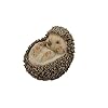 Hi Line Gift Ltd Hedgehog on Back Statue