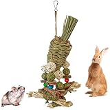 Mechpia Rabbit Toy, Bunny Cage Hanging Chew Toy & Treats for Guinea Pigs Chinchillas Hamsters Rats and Other Small Pets Teeth Grinding