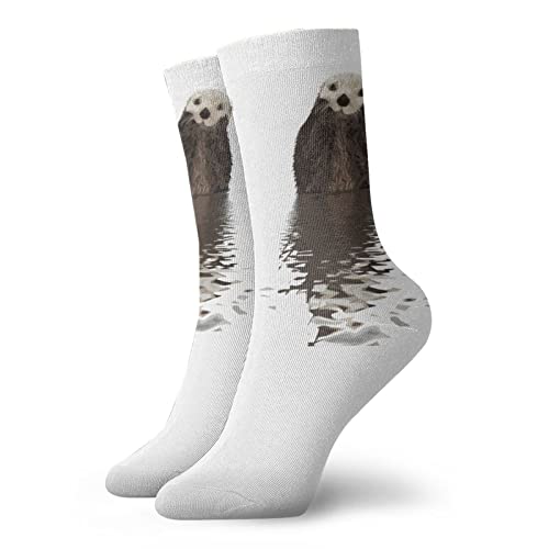 AOOEDM Lindos calcetines de compresión de moda de nutrias, calcetines deportivos acolchados de poliéster de rendimiento, para correr, atléticos Cover