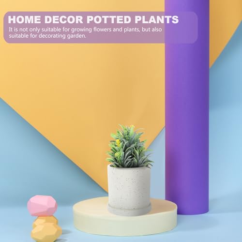 Pot de plante perméable blanc : la solution pour racines saines - 8