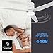 Polar 3B PURE Ventilador de Techo con Mando a Distancia Imagen de Polar 3B PURE Ventilador de Techo con Mando a Distancia