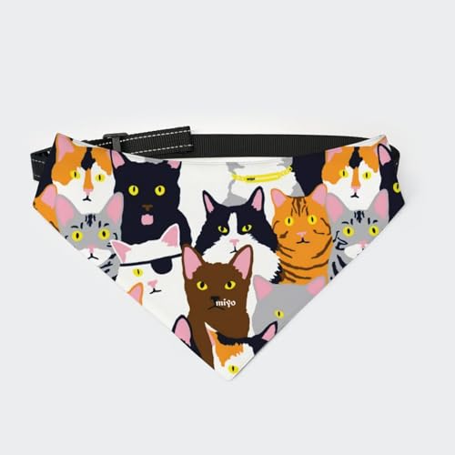 [§miyo] ybgp o_i Lp ֕t OpXJ[t ߉\ HGv y _炩 U av[g lRL (4)