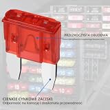 URAQT Mini Zestaw 55 bezpieczników samochodowych, bezpieczniki samochodowe, 33 standardowe i 22 Mini, z ściągaczami, 11 specyfikacji (2A, 3A, 5A, 7,5A, 10A, 15A, 20A, 25A, 30A, 35A, 40A), do