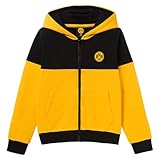 Borussia Dortmund