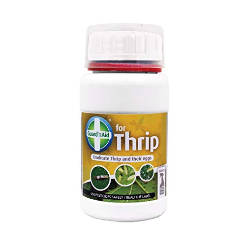 Guard n Aid SPIDER MITE ROOT SHIELD THRIP EGG PestOFF Fumer Control Hydroponics (Thrip 250ml)