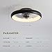 LUDOMIDE Ceiling Fans with Lights 20'' Flush Mount Fan Remote & APP Control Black Low Profile 6 Wind Speeds Smart Dimmable LED for Bedroom Living Room (Y1095-BK-ELE)