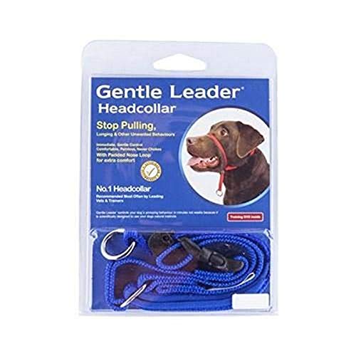 dog head collars