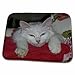 3dRose Turkish Van Cat Sleeping - van cat, feline, cat breed,... - Dish Drying Mats (ddm-52677-1)