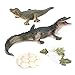 Ahvqevn 2452 Alligator Animal Croissance Cycle Modèle Enfant Enfant Éducation préscolaire Jouet de Biologie Cognitive
