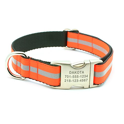 orange reflective dog collar