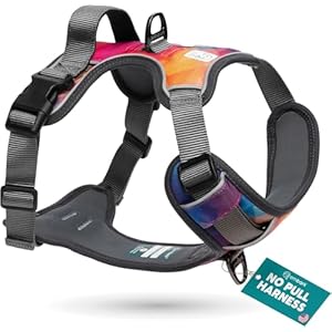 Embark Adventure No Pull Dog Harness, Reflective Trim No Pull Harness for Medium Sized Dog – Military Grade Nylon, Front Clip with Gel Lined Handle. Soft & Padded Puppy