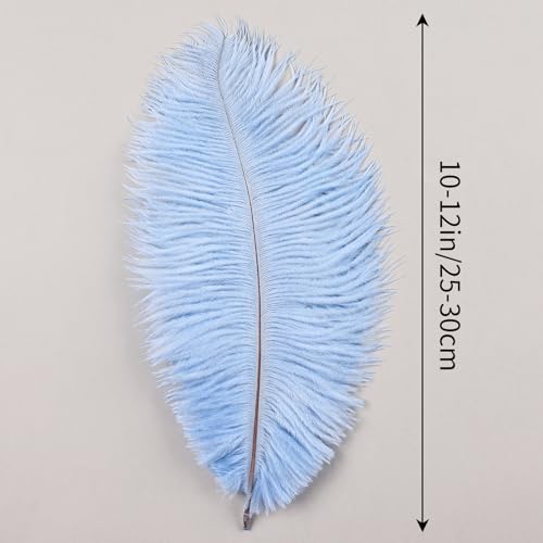THARAHT 24pcs Baby Blue Ostrich Feathers Natural Bulk 10-12Inch 25cm-30cm for Wedding Party Centerpieces Easter Gatsby and Home Decorate Ostrich Feathers