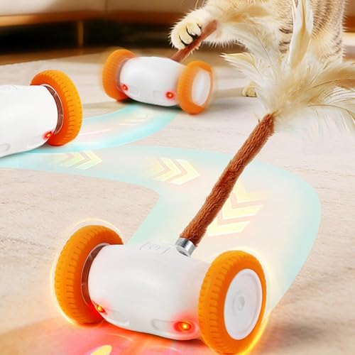 Plush Toys Generico jeu autonome enrichissement stimulation exercice chatons mouvement automatique