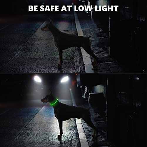 SerDa-Run Run Light Up Dog Collar, Green, LED Dog Collar with USB Rechargeable, Adjustable Flashing, Three Light Modes - Image 3