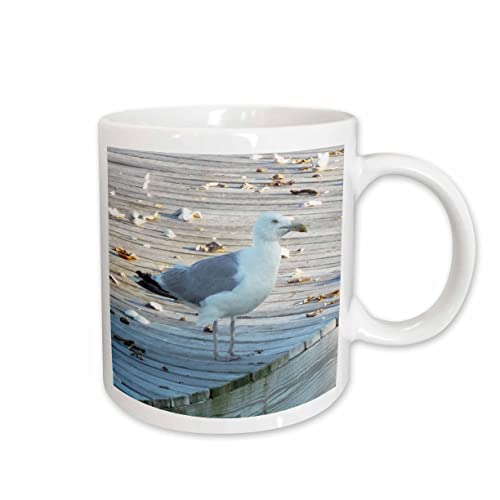 3dRose Seagull Standing On The Dock Of The Bay 11oz Mug