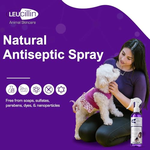 Leucillin Natural Antiseptic Spray - Antibacterial Antifungal Antiviral for Dogs Cats All Animals Itchy Skin Minor Wound Care and Skin Health | 500ml - Image 6