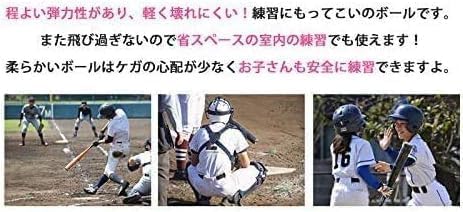 野球 バッティング練習用 ボール 穴あきボール 専用メッシュバッグ付き (室内 トレーニングボール 軽い 室内練習 おもち 【承認】