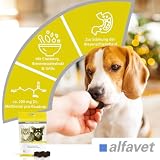 Alfavet FeliGum Struvit 3x160g Hund Katze unterst. Auflösung von Struvitsteinen