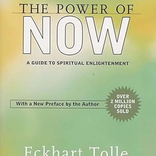 #104 你的痛苦，其實只是大腦的幻覺！當下的力量 The Power of Now | 小麥讀書 💡