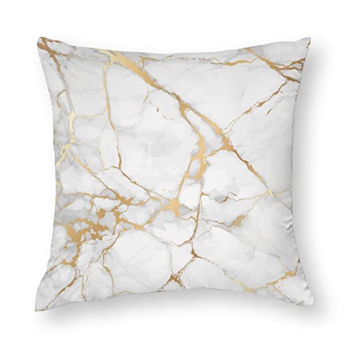 Tesiqimt Throw Pillow Cover,Abstract White And Gold Marble,Durable Decorative Pillowcase,Modern Holiday Pillowcase For Couch Car Living Room And Outdoor 18X18 Inch #TOP4