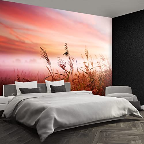 Papier Peint Camouflage Tulup 416x254cm transformez facilement un mur blanc et terne
