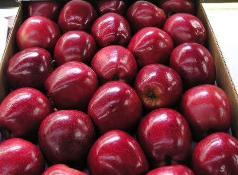 Generic Red Delicious Apples thumb #3