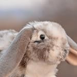Realistic Rabbit Stuffed Animal-Gray 10.62",Rabbit Plush Toy, Rabbit Stuffed Animal,Soft Toy for Boy,Girl Toys,Gifts for Kids, Home Decor,Hugging Toy