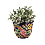 Evergreen Garden Talavera Poterie mexicaine en céramique 17,8 cm Bleu floral classique  Pot de fleurs succulentes  Intérieur et extérieur