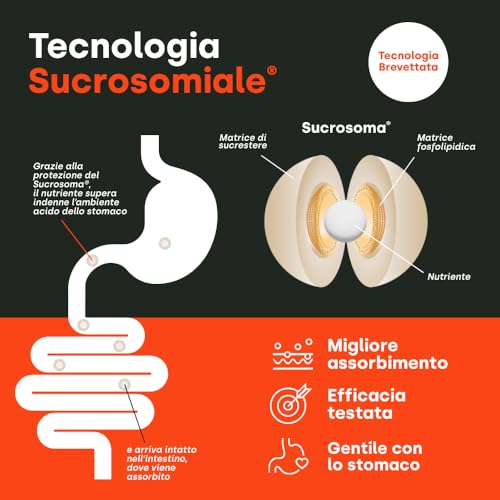 Apportal Boost Integratore Energia E Difese Immunitarie 14 Bustine - 6