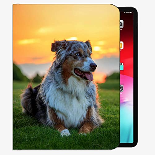 Tabletas, Personal Computer Imagen adicional